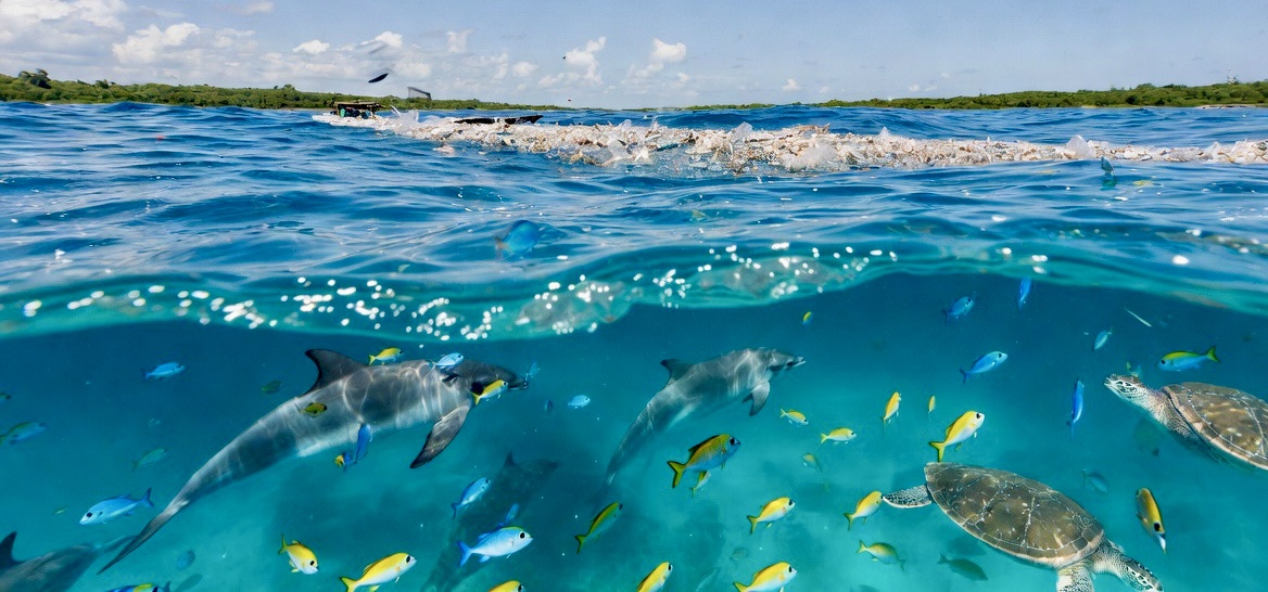 The Ocean Cleanup